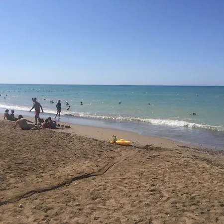 Akropolis Medusa بيليك